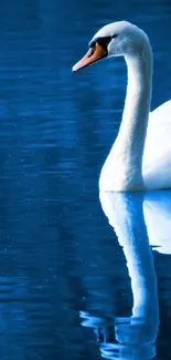 Water Bird Lake Live Wallpaper