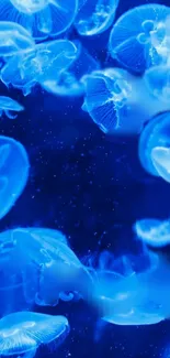 Water Blue Liquid Live Wallpaper