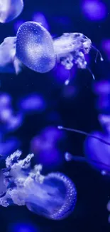 Water Blue Purple Live Wallpaper