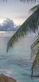 Serene beach scene with palm trees over the ocean.