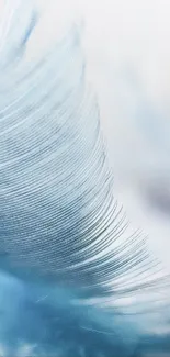 Close-up of a delicate blue feather on a light background.