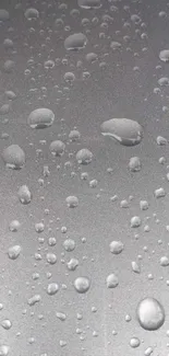 Water droplets on a cool metallic background.