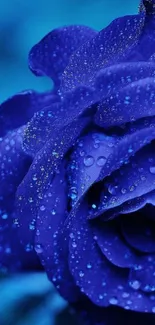 Water Flower Closeup Live Wallpaper