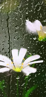 Water Flower Liquid Live Wallpaper