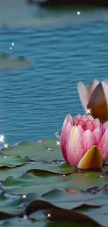 Water Flower Liquid Live Wallpaper