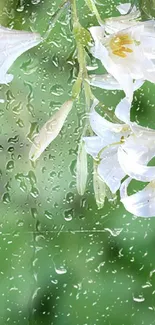 Water Flower Plant Live Wallpaper