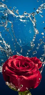 Water Flower Red Live Wallpaper