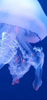 Water Jellyfish Liquid Live Wallpaper