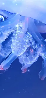 Water Jellyfish Liquid Live Wallpaper