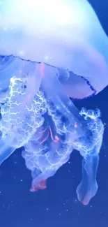 Water Jellyfish Liquid Live Wallpaper