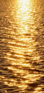 Golden sunlight reflecting on rippling water surface at sunset.