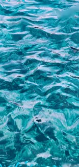 Water Liquid Azure Live Wallpaper