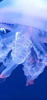 Water Liquid Blue Live Wallpaper