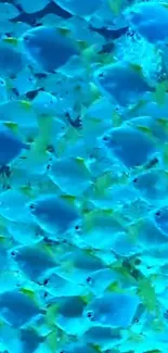 Water Liquid Blue Live Wallpaper