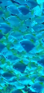 Water Liquid Blue Live Wallpaper