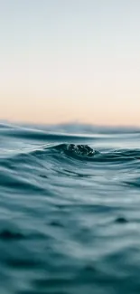 Serene ocean waves under a calm sky at sunset.