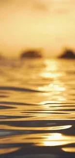 Golden sunset reflecting on a calm ocean surface.