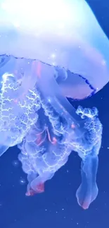 Water Liquid Jellyfish Live Wallpaper