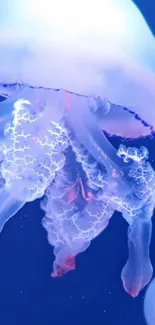 Water Liquid Jellyfish Live Wallpaper