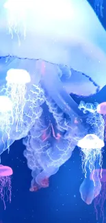 Water Liquid Jellyfish Live Wallpaper