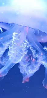 Water Liquid Jellyfish Live Wallpaper