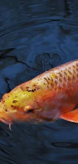 Water Liquid Koi Live Wallpaper