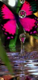 Water Liquid Pollinator Live Wallpaper