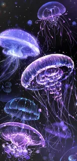 Water Marine Invertebrates Jellyfish Live Wallpaper