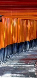 Torii gate pathway with orange pillars casting shadows.