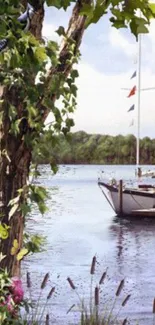 Water Outdoor Tree Live Wallpaper