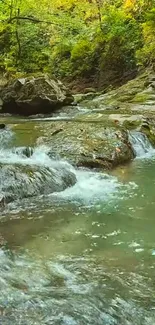 Serene forest stream flowing over rocks in vibrant green scenery.