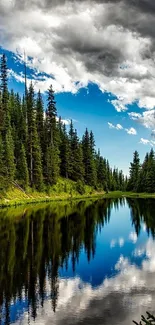 Water Plant Tree Live Wallpaper