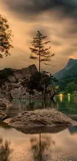 Water Plant Tree Live Wallpaper