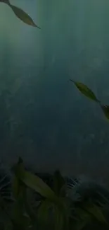 Water Plant Underwater Live Wallpaper