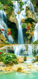 Water Plant Water Resources Live Wallpaper