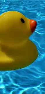 Water Rubber Ducky Blue Live Wallpaper