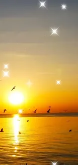 Water Sky Bird Live Wallpaper