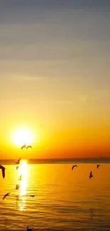 Water Sky Bird Live Wallpaper