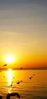 Water Sky Bird Live Wallpaper