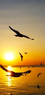 Water Sky Bird Live Wallpaper