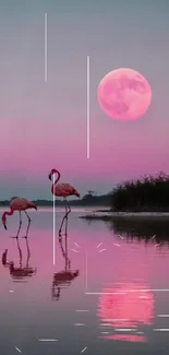 Water Sky Bird Live Wallpaper