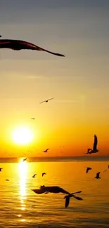 Water Sky Bird Live Wallpaper