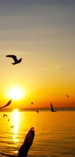 Water Sky Bird Live Wallpaper