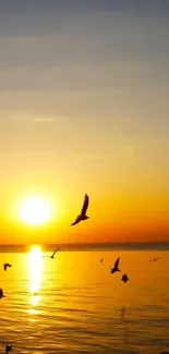 Water Sky Bird Live Wallpaper