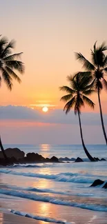 Beautiful sunset with palm trees on a tranquil tropical beach.