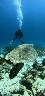 A diver swims behind a turtle in clear blue ocean water, surrounded by coral reefs.