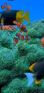 Colorful clownfish swimming in lush coral reef scene.