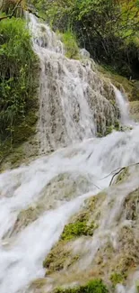 Serene forest waterfall cascading over lush green moss.