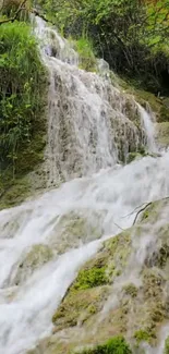 Serene waterfall flowing in lush forest setting, with greenery and cascading water.