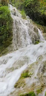 Serene waterfall with lush greenery, perfect for mobile wallpaper.